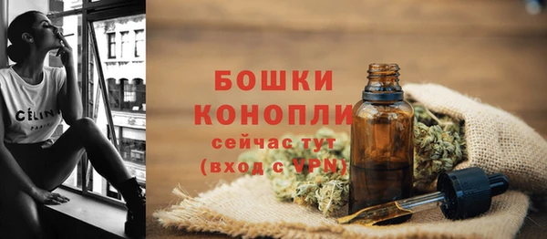 мет Елабуга