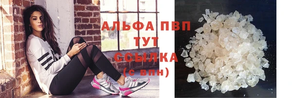 скорость Ельня