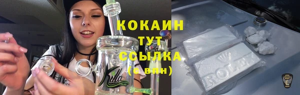 apvp Елизово