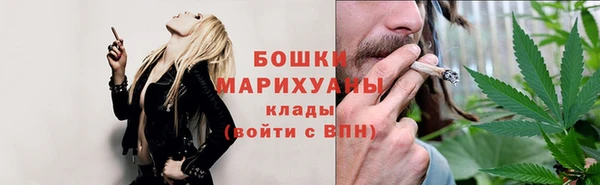 скорость Ельня