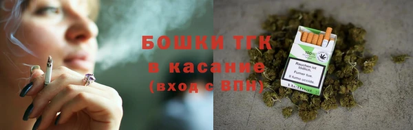 мет Елабуга
