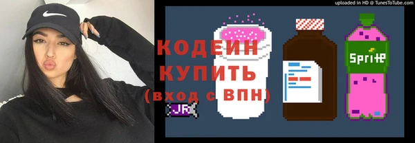 мет Елабуга