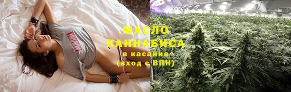 мет Елабуга