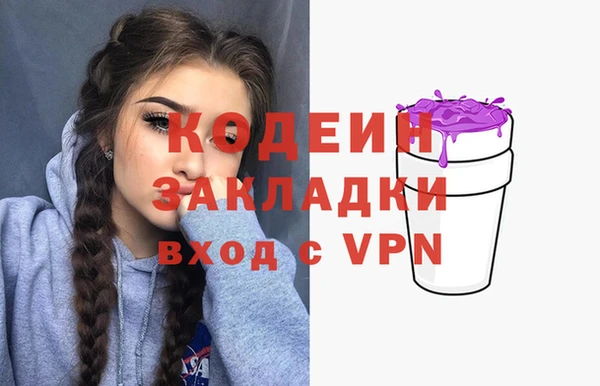 мет Елабуга