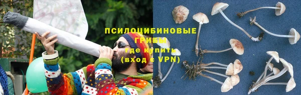apvp Елизово
