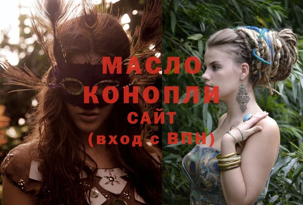 скорость Ельня