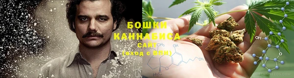 мет Елабуга