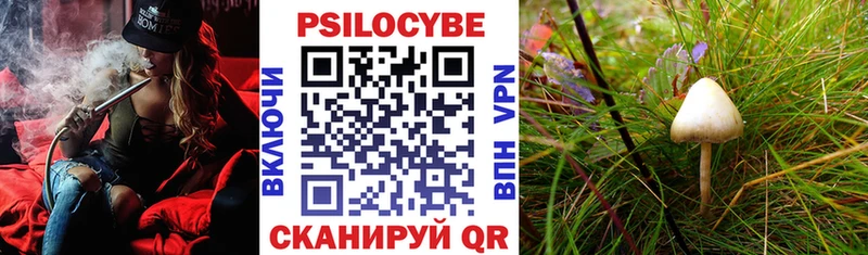 Псилоцибиновые грибы MAGIC MUSHROOMS  Купить закладки  Полярные Зори 