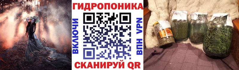 Канабис конопля  Купить  Полярные Зори 